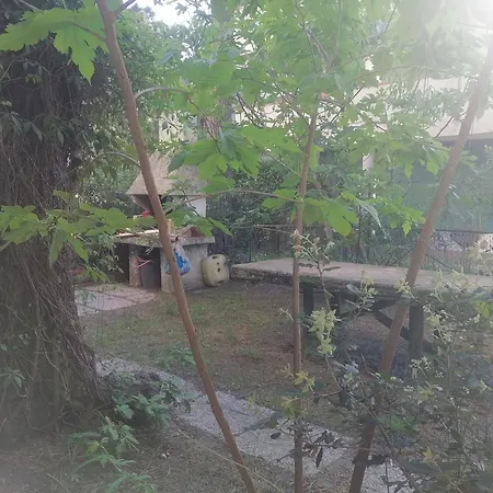 Sole Lido di Spina